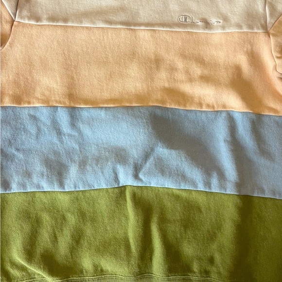 Urban Outfitters Champion Crew Neck Sweatshirt - Picture 5 of 12